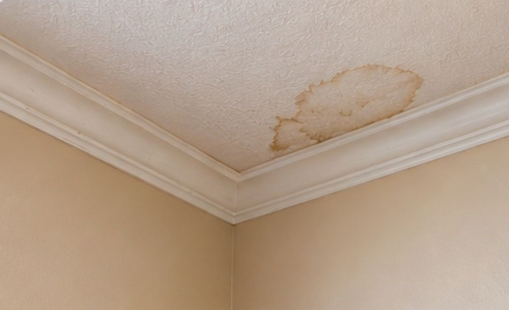 wmremove-transformed